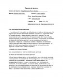 LOS SISTEMAS DE INFORMACION