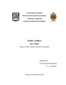 Quimica del fuego parte 1