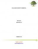TEMA ACERCA UNA EVALUACIÓN DE IMPACTO AMBIENTAL.