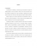 TIG MARKETING- Introducción