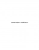 El tema de La etapa de control dentro del proceso administrativo.