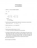 ANÁLISIS MATEMÁTICO I TAREA DE MATRICES