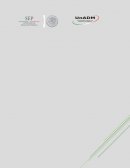 Evidencia de aprendizaje. Reflexionar sobre el actuar, el concurso del delito y la imagen policial para poder proceder en apego a la legalidad