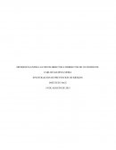 DIFERENCIA ENTRE LO COSTOS DIRECTOS E INDIRECTOS DE UN INCIDENTE
