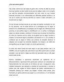 Por qué vota la gente