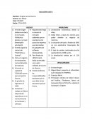 Estudio de caso KRUGER