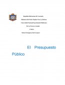 Trabajo sobre El Presupuesto Público.