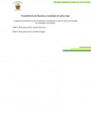 Cronograma- Procedimiento de Muestras y resultados de suelo y hoja