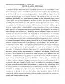 OBESIDAD Y DISLIPIDEMIAS.