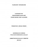 Control- PLANEACIÓN Y ORGANIZACIÓN