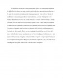 El alcoholismo - Ensayo.