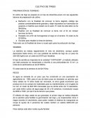 CULTIVO DE TRIGO - PREPARACIÓN DE TERRENO.