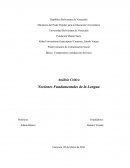 Analisis de nociones fundamentales de la lengua