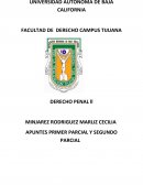 APUNTES PRIMER PARCIAL Y SEGUNDO PARCIAL DERECHO PENAL ll