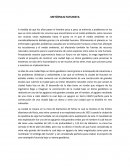 METÓPOLIS FUTURISTA.