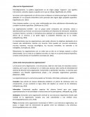 ¿Que son las Organizaciones? ¿Cómo están estructuradas las organizaciones?