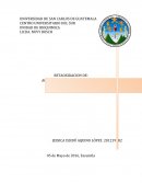 Acido laurico y acido miristico