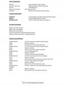 MODELO DE CURRICULUM VITAE - APUNTES VARIOS.