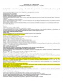 LINEAMIENTOS INTERNOS EXCLUSIVO DE LA MATERIA.