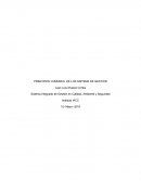 Sistema Integrado de Gestión en Calidad, Ambiente y Seguridad