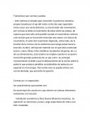 La Transmision por correas y poleas