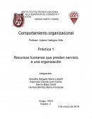 Práctica 1 Recursos humanos que presten servicio a una organización
