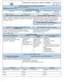 PLAN DE DESTREZAS CON CRITERIO DE DESEMPEÑO