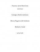 Ecología y medio ambiente. Efectos negativos del ambiente