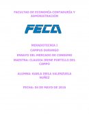 ENSAYO DEL MERCADO DE CONSUMO.