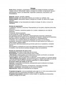 Biología Seres vivos: complejos y organizados.