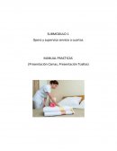 Es la persona encargada ante el ama de llaves, de la limpieza de las habitaciones.