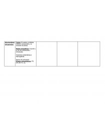 Planificacion practicas del lenguaje. Página 4