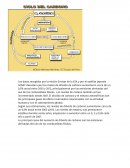 Una explicación breve de cada paso del proceso