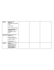 Planificacion practicas del lenguaje. Página 3