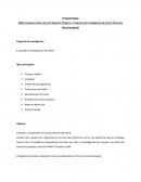 Proyecto Haarp- Pregunta de investigacion