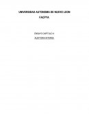 Ensayo auditoria. Evaluación interna.