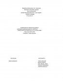 Elaboracion del cloro.