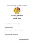 Algebra lineal. Números complejos