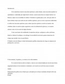 En la naturaleza ocurren reacciones químicas a cada instante