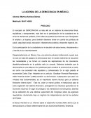 Actores sociales y participación en la Ciudad de México
