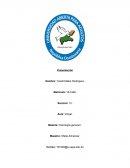 Trabajo final de Psicología general 1