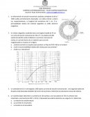 CAMPOS ELECTROMAGNÉTICOS - TALLER CAMPOS MAGNÉTICOS