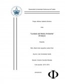 Ensayo sobre la contaminacion.