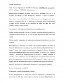 Apuntes derecho parlamentario.