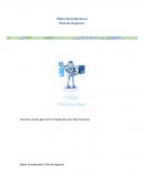 Maho Incorporation Plan de Negocios