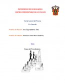 Etapas del Procedimiento.