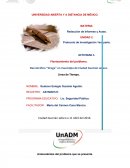 Redacción de Informes y Actas.