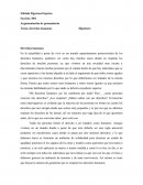 Argumentación de pensamiento. Los derechos humanos