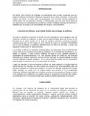 Licencias de software, una medida flexible para proteger tu software.