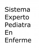 Sistema experto.